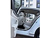 Vasıta / Otomobil / Volkswagen / Passat / 1.6 TDI BlueMotion / Comfortline
