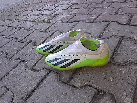 tdfオリーブ38 1289764431f1d.jpg