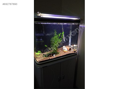 2500 ithal mobilyali akvaryum 90 litre