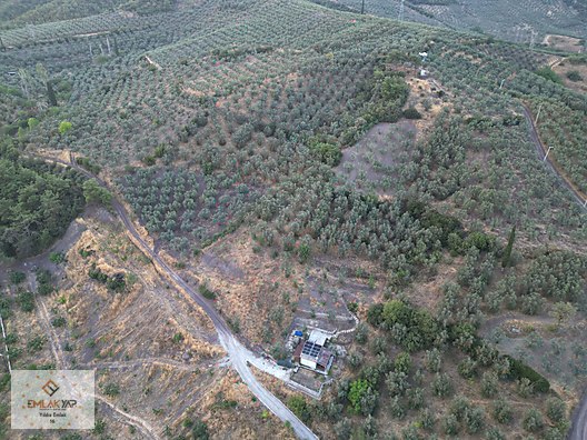 BURSA GEMLİK KURTUL MAHALLESİNDE KÖYÜN DİBİNDE SATILIK ARAZİ #1251767902