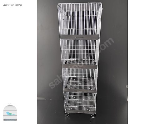 istanbul sultanbeyli cotanaklar kafes ve kusculuk hayvanlar alemi ilanlari sahibinden com da