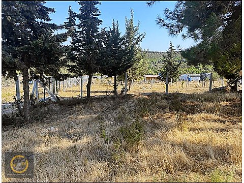 MENDERES GÖRECEDE HİSSE TAPULU RESMİ YOLU AÇIK...