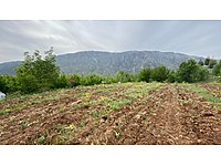 yeni mah satilik arsa ilanlari ve fiyatlari sahibinden com da yeni mah satilik arsa ilanlari ve fiyatlari sahibinden com da