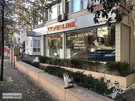 İkinci El ve Sıfır Alışveriş / Bahçe & Yapı Market / Yapı Malzemeleri / Banyo & Mutfak / Banyo Dolabı