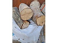 KÜTÜK TOMRUK ODUN KAYIN AĞACI KURU ŞÖMİNELİK BARBEKÜLÜK