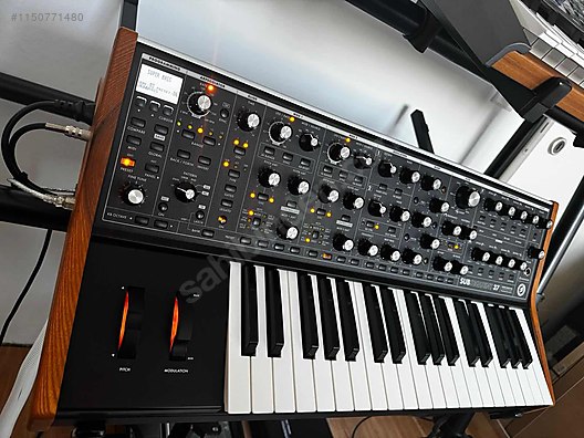 Moog sub store 37 used