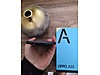 Used & Brand New Items / Cell Phones & Accessories / Cell Phones / Oppo / A55