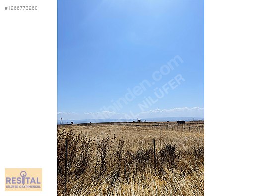 BANDIRMA YENISIĞIRCIDE MANYAS GÖLÜ MANZARALI HOBİ BAHÇESİ