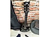 LTD Elektro Gitar