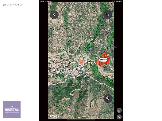 Acil! 11.000 m² Müstakil Tapulu Zeytinlik Kaçırılmayacak Fiyat!
