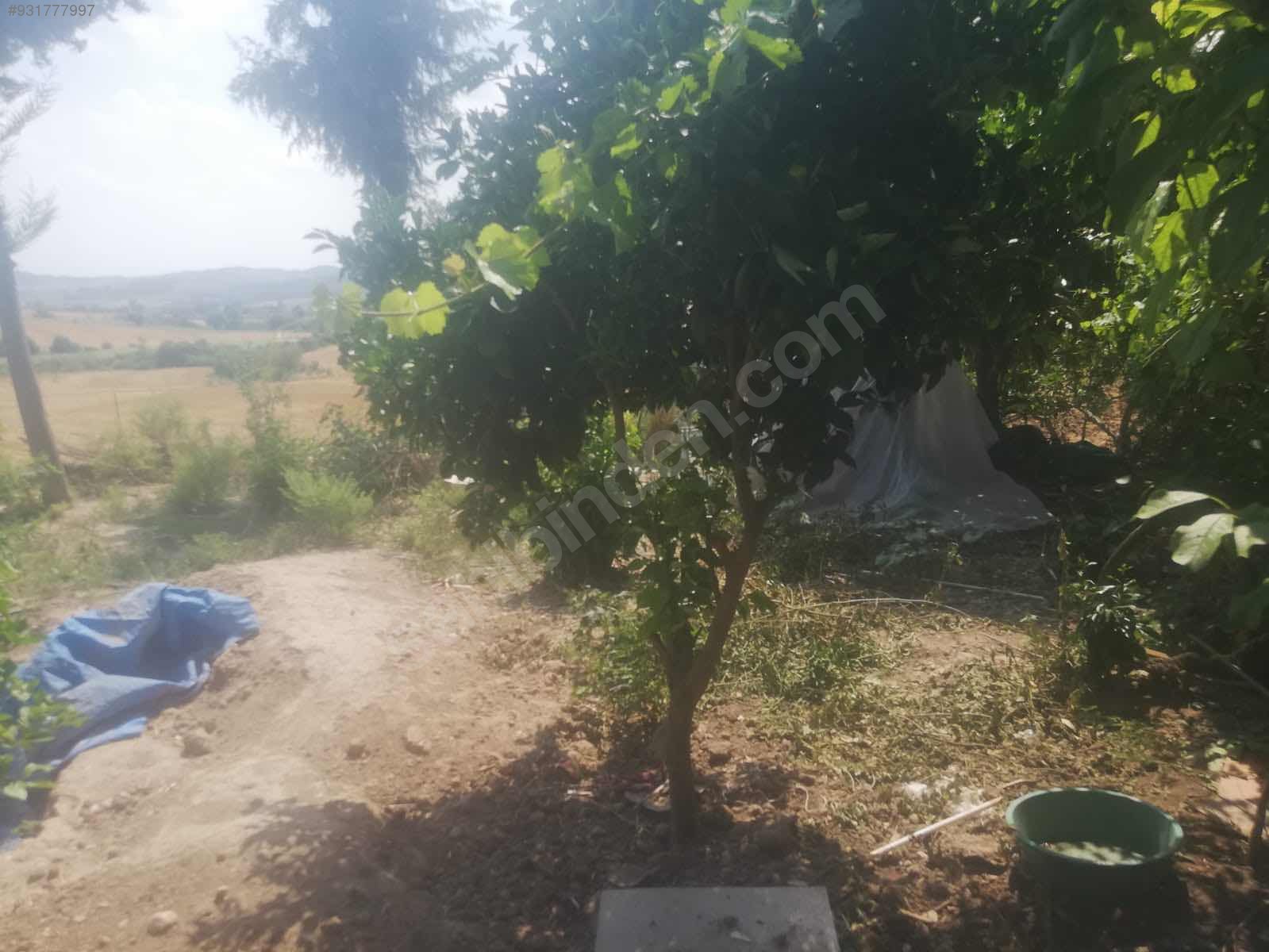 Kupon çiftlik evi.arayın ikram yapılır Satılık Çiftlik Evi İlanları