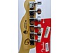 Fender Elektro Gitar