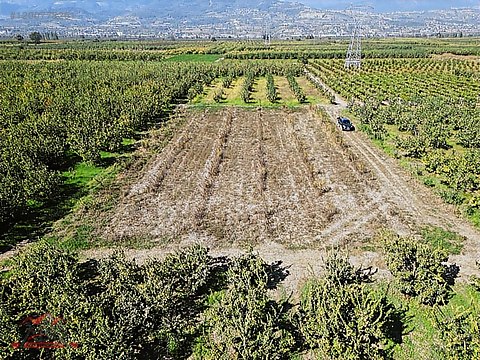 SAKARYA GEYVE UMURBEY MAH. 2444,26 M2 SATILIK TARLA