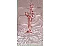 eşi benzeri olmayan İpek örtü antikadan fazlası