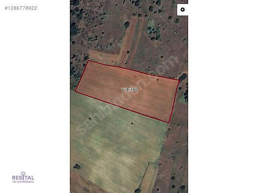 BİLECİK MERKEZ ŞÜKRANİYE KÖYÜ SATILIK TARLA