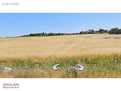 ANKARA GÖLBAŞI TULUMTAŞ 5800 M2 SATILIK TARLA HİSSESİ - Satılık Arsa İlanları sahibinden.com'da - 1281779360