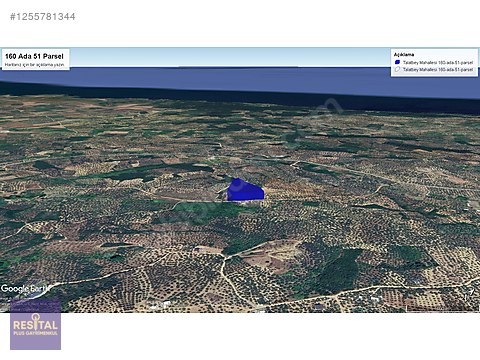 MUDANYA TALATBEY' DE DENİZ MANZARALI 7200 M2 SATILIK ZEYTİNLİK
