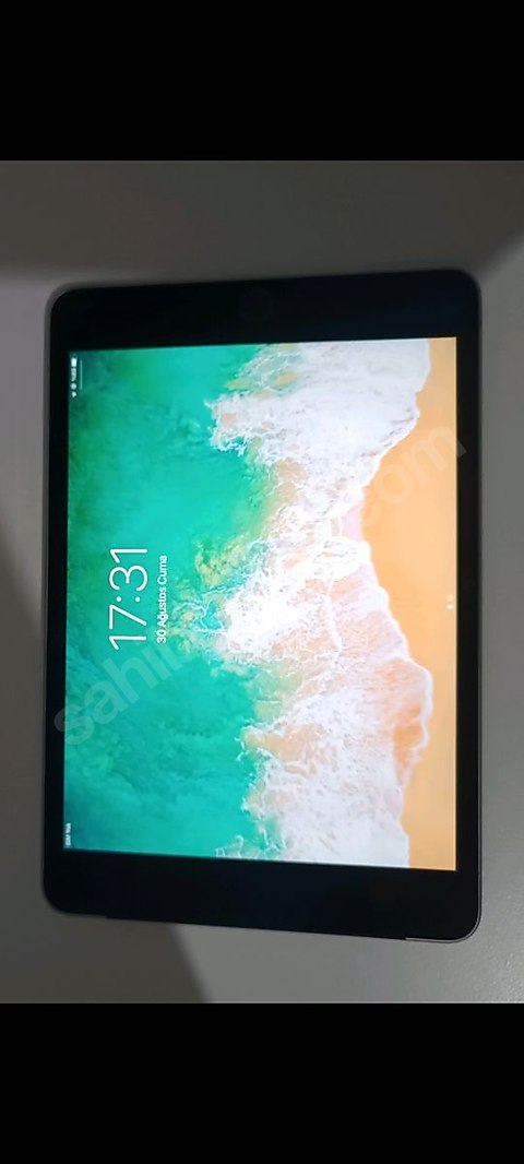 tertemiz iPad 4 mini