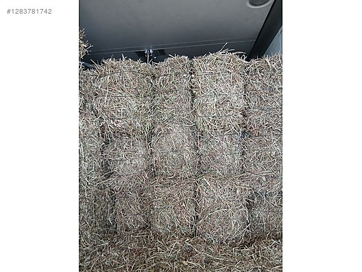 Pets & Livestock / Foods & Feeds / Small & Large Livestock / Feed