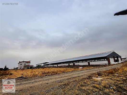 MUSTAFA ALTUN EMLAK'TAN ALİBEYHÖYÜĞÜ MH. DEVASA RUHSATLI ÇİFTLİK #1286783785
