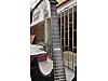 LTD Elektro Gitar