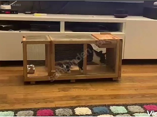 Kedi Kopek Kus Fare Hayvan Yakalama Kapani Elektronik Alisveris Sifir Ikinci El Urunlerle Sahibinden Com Da 927784393