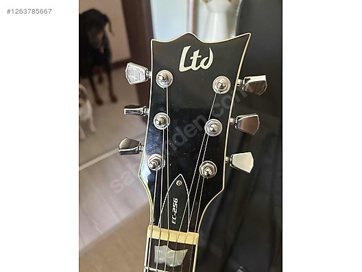 ESP Elektro Gitar