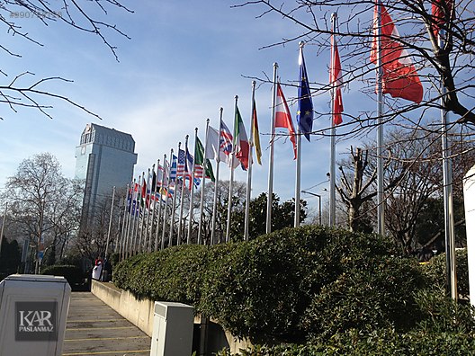 Mağazadan Promosyon Diğer Ürünler