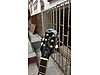Epiphone Elektro Gitar