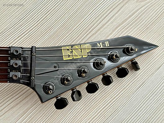 ESP Elektro Gitar