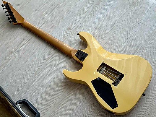ESP Elektro Gitar