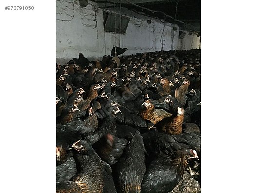 Hh Dksjxyjqiom Hh Dksjxyjqiom