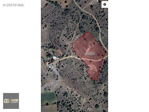 ''5.850 m²'' KAHRAMANKAZAN SANCAR DA TEK VE KÖK TAPU SATILIK BAĞ
