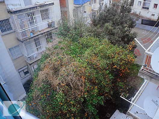 karsiyaka alaybey de kiralik 3 1 daire kiralik daire ilanlari sahibinden com da 981793278