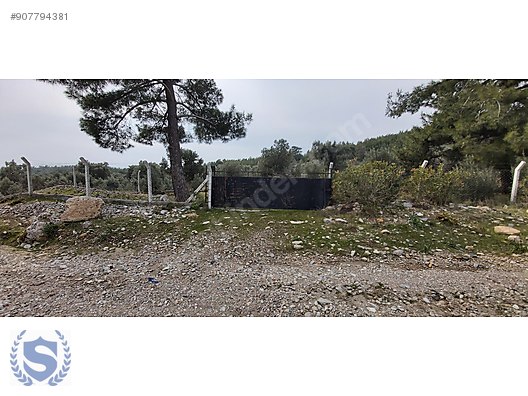 soke doganbey de deniz manzarali 3 400 m zeytinlik satilik arsa ilanlari sahibinden com da 907794381