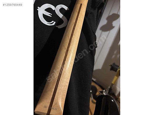 Fender Elektro Gitar