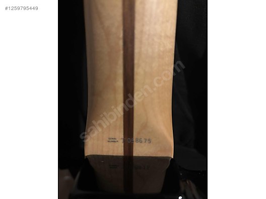 Fender Elektro Gitar