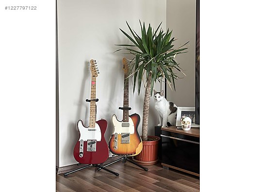 İkinci El ve Sıfır Alışveriş / Müzik / Müzik Aletleri / Telli Çalgılar / Gitar / Elektro