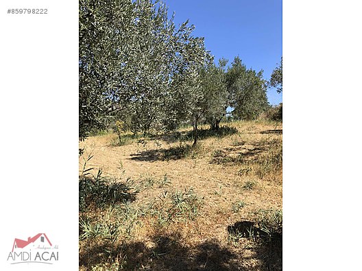 hoskoy satilik arsa ilanlari ve fiyatlari sahibinden com da