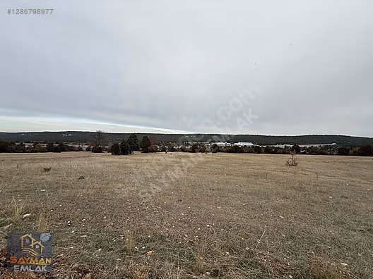 SAYMAN'DAN YENİCE'DE ÇEVRE YOLUNA YAKIN 5.643 m² SATILIK TARLA #1286798977