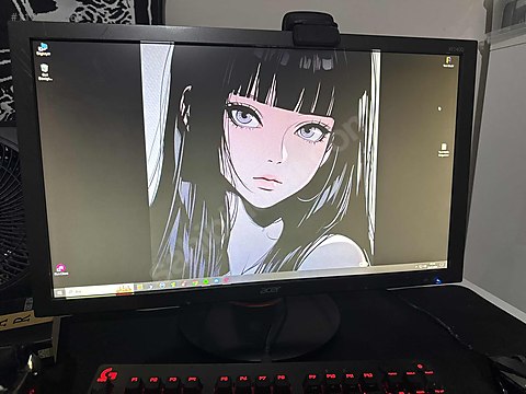 Acer 165hz 24inç Monitör sahibinden.comda - 1187799065