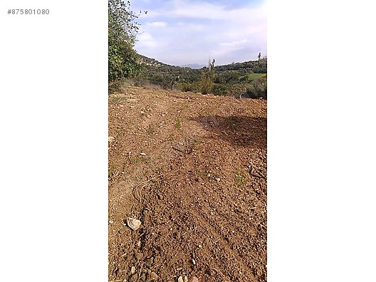 Bursa Kestel Cataltepe Koyunde Satilik Arsa Ilanlari Sahibinden Com Da 875801080