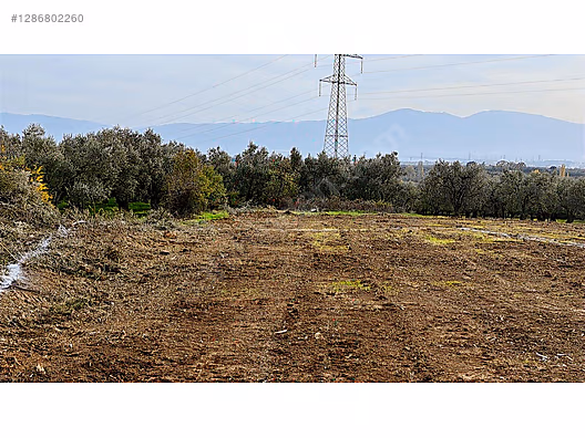 Hayırla Geldiniz Yeniköy de 386.97 m2 villa imarlı Fırsat arsa #1286802260