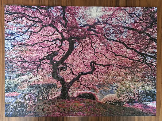 UCHIDA HOUSEI SAKURA32インチ Sıfır Anatolian Puzzle - Anatolian puzzle japon sakura ağacı