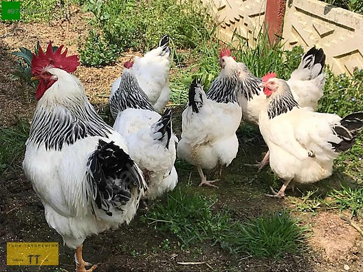 Omv96rdfrcvgzm Omv96rdfrcvgzm