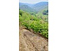 SAMYAP 'TAN ÇIRAKMANDA 3635 M2 SATILIK FINDIK BAHÇESİ