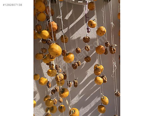 Used & Brand New Items / Foods & Feed / Fruits & Vegetables / Dried Fruits