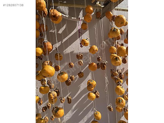 Used & Brand New Items / Foods & Feed / Fruits & Vegetables / Dried Fruits