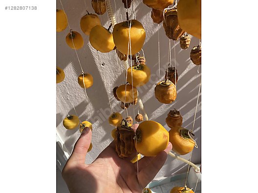 Used & Brand New Items / Foods & Feed / Fruits & Vegetables / Dried Fruits