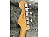 Fender Elektro Gitar